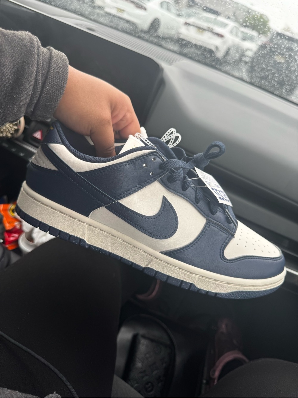Nike Men’s Navy and Cream Low-Top Sneakers